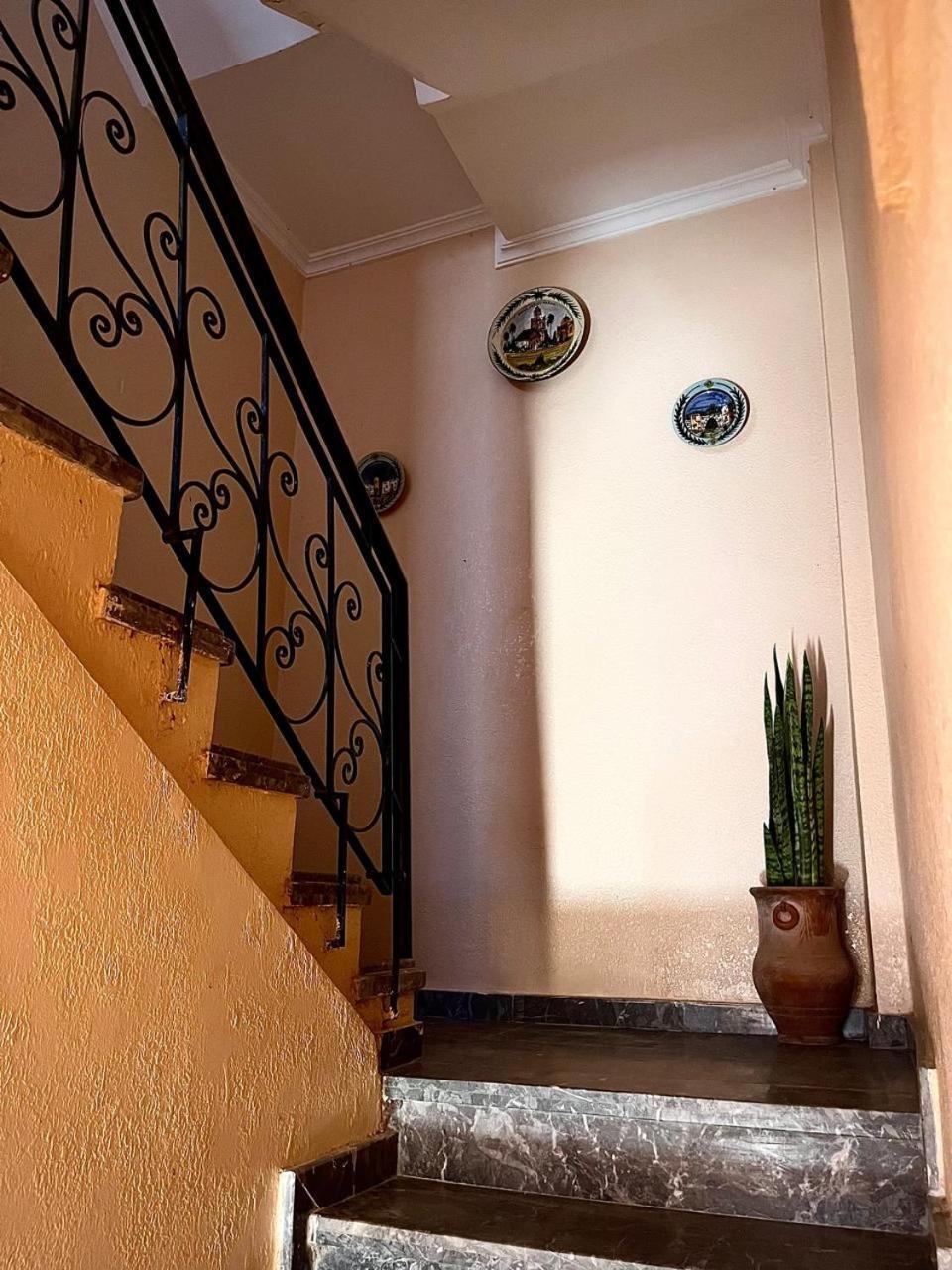 Wave Stay Hostel - Sea View Αγκαντίρ Εξωτερικό φωτογραφία